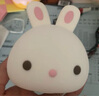 酷火元旦礼物送同学兔子解压玩具女孩生日礼物女生10-14实用初中生 实拍图