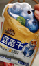 三只松鼠每日蓝莓干256g/16包 无添加水果干果脯小包装儿童老人办公室零食 实拍图