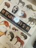 美国Weldon Owen儿童世界动物百科全书 （7-14岁）儿童科普 各国动物学家5000余幅手绘图哺乳动物、两栖动物、爬行动物、无脊动物、鸟类、鱼类   实拍图