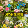 佳茉干花书签标本塑封膜瓶子里的春天收集童年手工diy材料透明树叶粘贴画玻璃毕业季手工礼物 实拍图