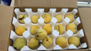 三萌果蔬临海涌泉蜜桔【EMS/顺丰-多地次日达】黄岩蜜橘子水果礼盒送礼 精选中大果丨单果60mm+丨狠甜 净重4.5-5斤装【超80%人选-超划算】 实拍图