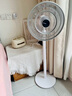 夏普空气循环扇电风扇落地扇自动摇头直流变频轻音无躁台立两用智能语音遥控定时换气扇对流涡轮扇 PJ-FD405A-M 【净化+可调高度+三色灯】 实拍图