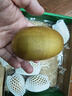 佳沛（zespri）新西兰  阳光金奇异果18粒超大果原箱单果重约173-204g 猕猴桃 实拍图