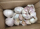京喜自营大蒜头紫白皮大蒜京东买菜生鲜调料即食凉拌大蒜 【精选】 2斤 单果3.5-5cm 实拍图
