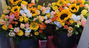 冉子花坊鲜花速递同城配送向日葵混搭抱抱桶玫瑰送女友爱人生日礼物真鲜花 拥抱阳光 实拍图