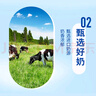 统一 阿萨姆原味奶茶 6入装奶茶饮料 300ml*6瓶（新老包装随机发货） 实拍图