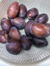 嘉笙美正宗新疆法兰西西梅新鲜当季时令水果喀什整箱应季孕妇甜李子 3斤净重果丨多汁酸甜丨甄选鲜果 实拍图