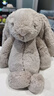 Jellycat害羞米色邦尼兔毛绒玩具柔软安抚玩偶公仔送礼潮玩娃娃生日礼物 米色 Medium 实拍图
