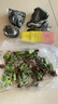 多肉植物精选图片品种发货照图办公室室内阳台桌面图片品种指定品 姬胧月+马库斯+乙女心+秋丽+盆土 实拍图