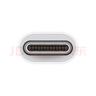 Apple/苹果 USB-C/Typc-C转USB接口转换器 苹果转接头U盘转换器 适用USB-C接口的iPhone/iPad/Mac 实拍图