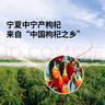 同仁堂品牌 北京同仁堂特级红枸杞子500克宁夏枸记构枸拒绝硫磺免洗泡茶 实拍图