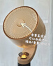 志高（CHIGO）【国家补贴】空气循环扇电风扇家用落地冰岛智能语音遥控3D自动摇头负离子净化节能轻音大风力台地 实拍图