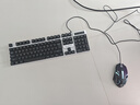 微星（MSI） i5 12400F/13400F/RTX3060/4060/5060Ti黑神话悟空游戏主机电脑台式机组装电脑主机DIY整机 配置三i5 13400F丨512G丨RTX3050 实拍图
