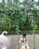 FLANMY隐形眼镜T-Garden大直径美瞳女日抛10片狗狗眼爵士黑松饼300度 实拍图