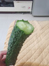 长黄瓜约600g 实拍图