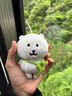 富士（FUJIFILM）拍立得相机相纸迷你胶片mini 7+/7s/7c/8/SE/9/11/12/25/40/90/99/link 2/SP2/liplay/evo相片纸 迷你白边(20张)+相册+ 实拍图