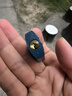 梅花（BLOSSOM）抽屉锁挂锁工具箱室内小锁宿舍柜子门锁电表箱锁BC2925蓝25MM 实拍图