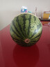【产地直采】河北老树皇冠梨4粒 约1.2kg 实拍图