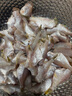 三去马面鱼耗儿鱼剥皮鱼去头去皮去内脏火锅食材海鲜水产 2盒【共800g】小马面鱼 实拍图