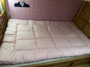 LOVO罗莱家纺 床垫床褥子加厚软垫子榻榻米120*200cm学生宿舍 实拍图