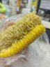 玢果萱水果玉米云南现摘新鲜爆浆甜玉米生吃牛奶玉米棒子苞谷黄糯代餐 净重4.5斤 严选装【单果300g+】 实拍图