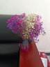 爱满（AIMAN）满天星天然干花花束ins网红生日 新房装饰摆件风干真插花家居摆设 白+紫+桃红满天星  【带M款花瓶】 实拍图
