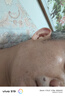 莱脱（Rantto）脱毛膏男士面部永久去根脱胡子脸部唇部腋下腿毛四肢原料进口150g 男士面部脱毛膏套装 实拍图