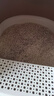 洁客（Drymax）膨润土豆腐砂混合猫砂懒人猫砂2.5kg*4袋共10kg整箱装 实拍图