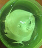 自然乐园（Nature Republic）芦荟胶晒后修复补水保湿身体乳液面霜男士贴贴霜芦荟膏凝胶300ml 实拍图