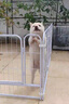 贝初众狗围栏室内宠物围栏狗笼子狗栅栏狗笼小中大型犬猫围栏狗笼折叠 120*60*60cm【适合中小型犬】 【6片】自由拼接组合围栏 加粗加密框架/无惧啃咬 实拍图