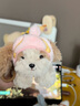 babycare摇尾巴毛绒玩偶娃娃公仔兔墩墩女孩婴儿安抚棉花娃娃包包挂件儿童 小旋风毛绒挂件玩偶-马尔泰团团 13cm 实拍图