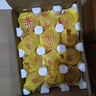 京鲜生 沙瓤老味西红柿 净重4.5斤单果125g+水果番茄儿时味道 源头直发 实拍图