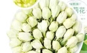 福东海 茉莉花120克  (当季新鲜头采)横县三伏 花草茶泡水喝养生茶饮 实拍图