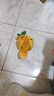 贵为狗玩具嗅闻藏食自嗨解闷益智玩具猫咪狗狗消耗体力漏食宠物玩具 实拍图