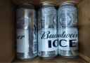 百威冰啤酒500ml*18听整箱装【99%好评】 端午节送礼 实拍图