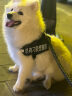 宠德多狗绳狗狗牵引绳遛狗绳胸背带狗链子防爆冲中大型犬金毛拉布拉多 黑色 S（建议10-26斤） 实拍图