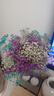 爱满（AIMAN）满天星天然干花花束ins网红生日 新房装饰摆件风干真插花家居摆设 紫+白+宝蓝满天星  【不带花瓶】 实拍图