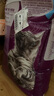 伟嘉猫粮成猫全价猫粮亮毛均衡营养10kg海洋鱼味夹心粮【原料透明】 实拍图
