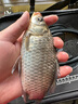西部风（Xibu feng） 西部风老坛甜薯玉米窝料野钓鲫鲤草青鱼打窝钓鱼饵料发酵底窝料 老坛甜薯杂粮+玉米各2袋 实拍图