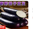 山东新鲜绿把紫皮长茄现摘现发新鲜嫩茄新鲜时令蔬菜生鲜 新鲜绿把紫茄 1斤 现摘现发 实拍图