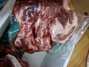 阿西娅法式小切靖远羊羔肉原切煎炸烧烤露营食材冷链地标产物赠烧烤料包 靖远滩羊法切250g*3+烧烤料 实拍图