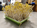 雅培益力佳SR营养配方粉 辅助降血糖 均衡营养 送礼 经典礼盒 400g*2 实拍图