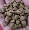 狼孩儿泰迪狗狗粮10斤成犬幼犬狗粮40斤泰迪小型犬天然粮20斤  5kg牛肉四拼粮(高营养10斤） 实拍图