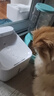 米家无线智能宠物饮水机2 小米猫咪饮水机喂水器自动循环 猫咪喂水机 实拍图
