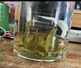 八马茶业绿茶 茗作龙井茶特级200g 2025年明前纸包装茶叶送礼[送试茶] 实拍图