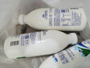 天润（TERUN）新疆特产 阿尔泰饮用型风味发酵乳低温酸奶 家庭装 1kg 酸奶 实拍图