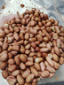 享食兔 白沙花生米新货现剥去壳生花生米粉皮精选饱满大粒坚果炒货2斤 实拍图