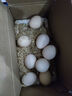 鲜鸡蛋草鸡蛋五谷喂养农家散养山林自养鸡蛋超市买菜 鲜鸡蛋8枚320g【泡沫防撞带箱】 实拍图