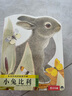 亮丽精美触摸书系列（全4册）小兔比利仿真触摸书幼儿启蒙早教书低幼认知绘本【0-2岁】宝宝绘本 实拍图