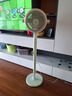 美的（Midea）【小青柠鲜风】SPI净离子除菌空气循环扇家用落地扇电风扇直流变频四季净化扇空调伴侣GDG24FG 实拍图